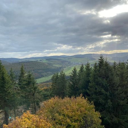 Schoenwald Waldchalet Am Musenberg Stryck エクステリア 写真