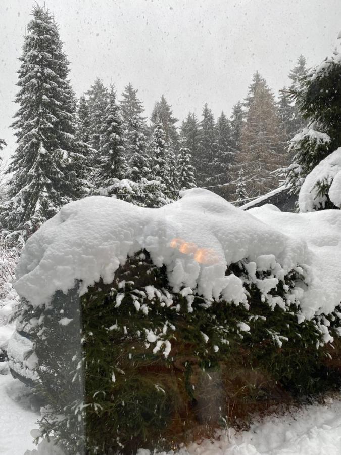 Schoenwald Waldchalet Am Musenberg Stryck エクステリア 写真