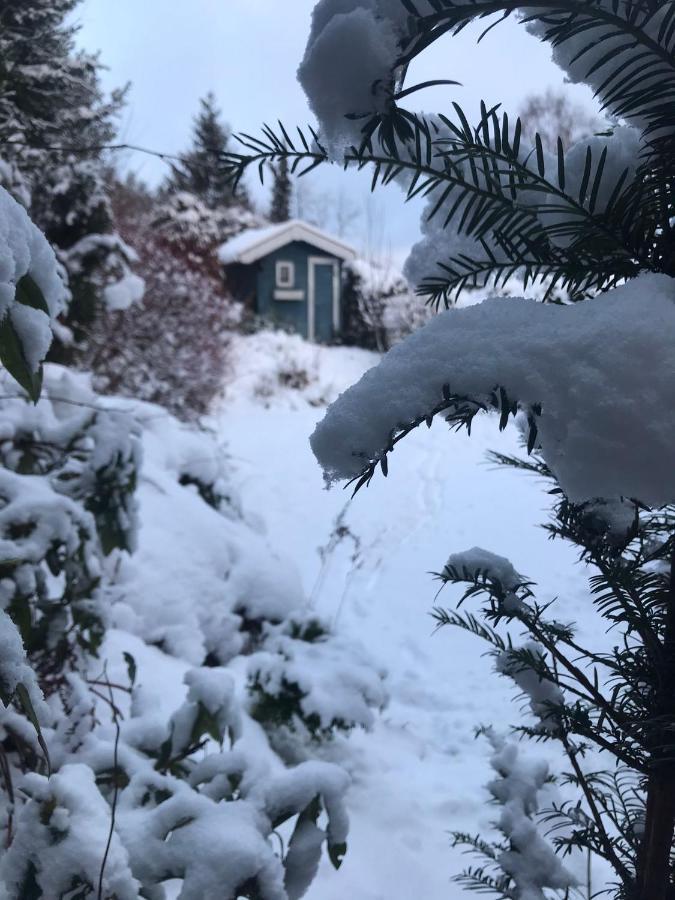 Schoenwald Waldchalet Am Musenberg Stryck エクステリア 写真