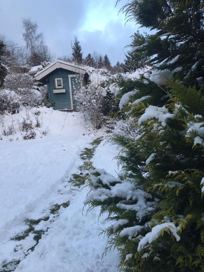 Schoenwald Waldchalet Am Musenberg Stryck エクステリア 写真