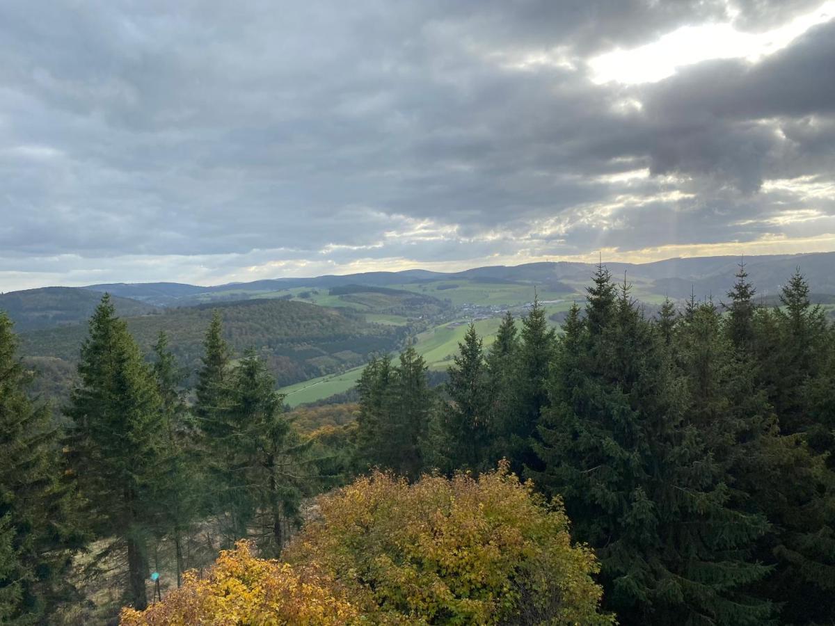 Schoenwald Waldchalet Am Musenberg Stryck エクステリア 写真