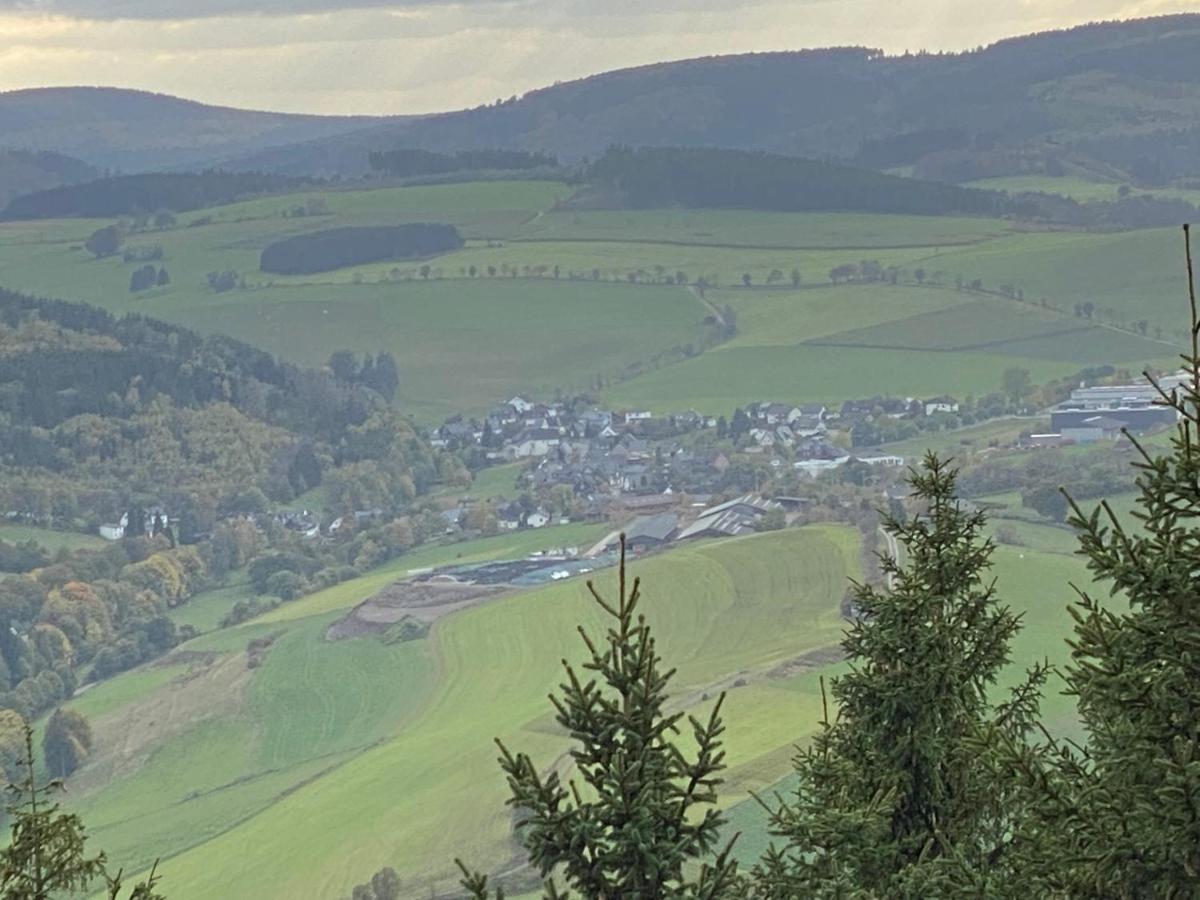 Schoenwald Waldchalet Am Musenberg Stryck エクステリア 写真